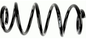 Vzmet sprednja Sachs 993123